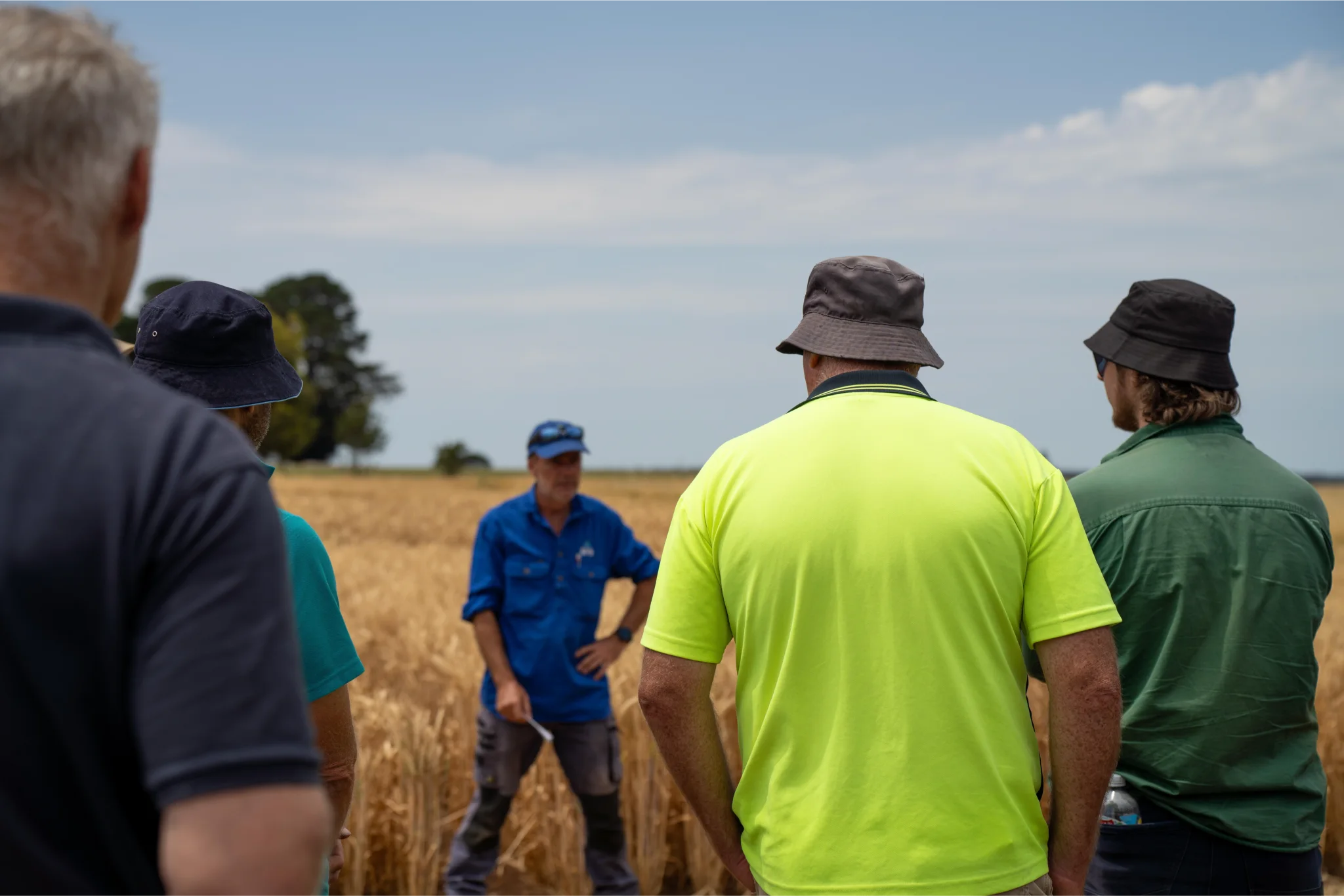 Farmers gathered in a wheat field during a property inspection