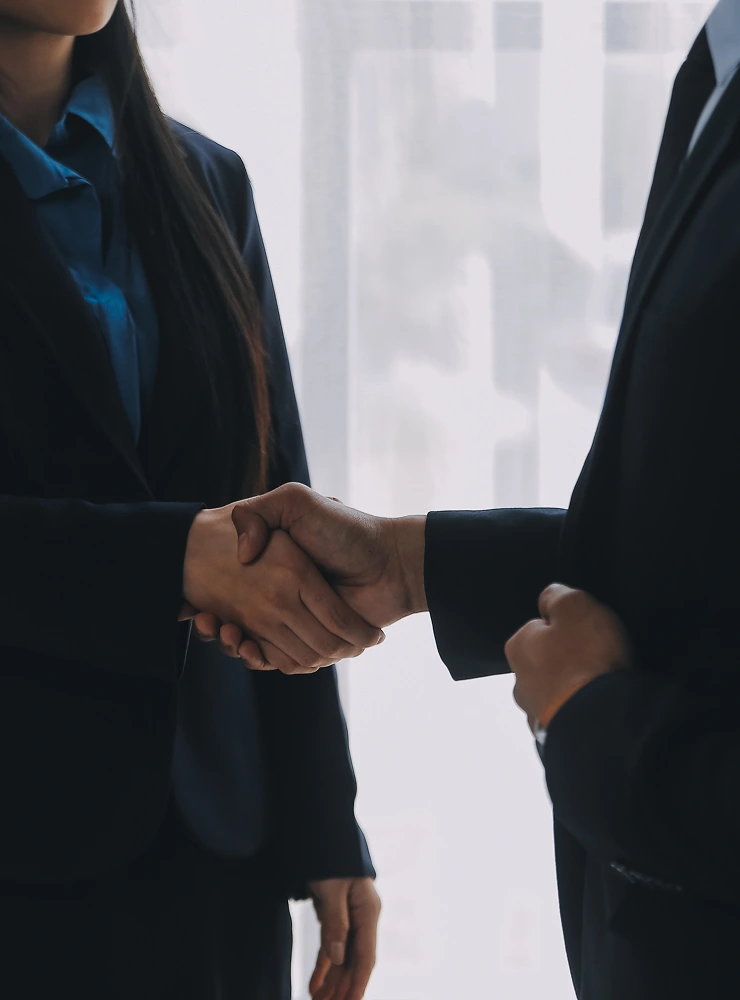 Businesswoman and businessman shaking hands in an office