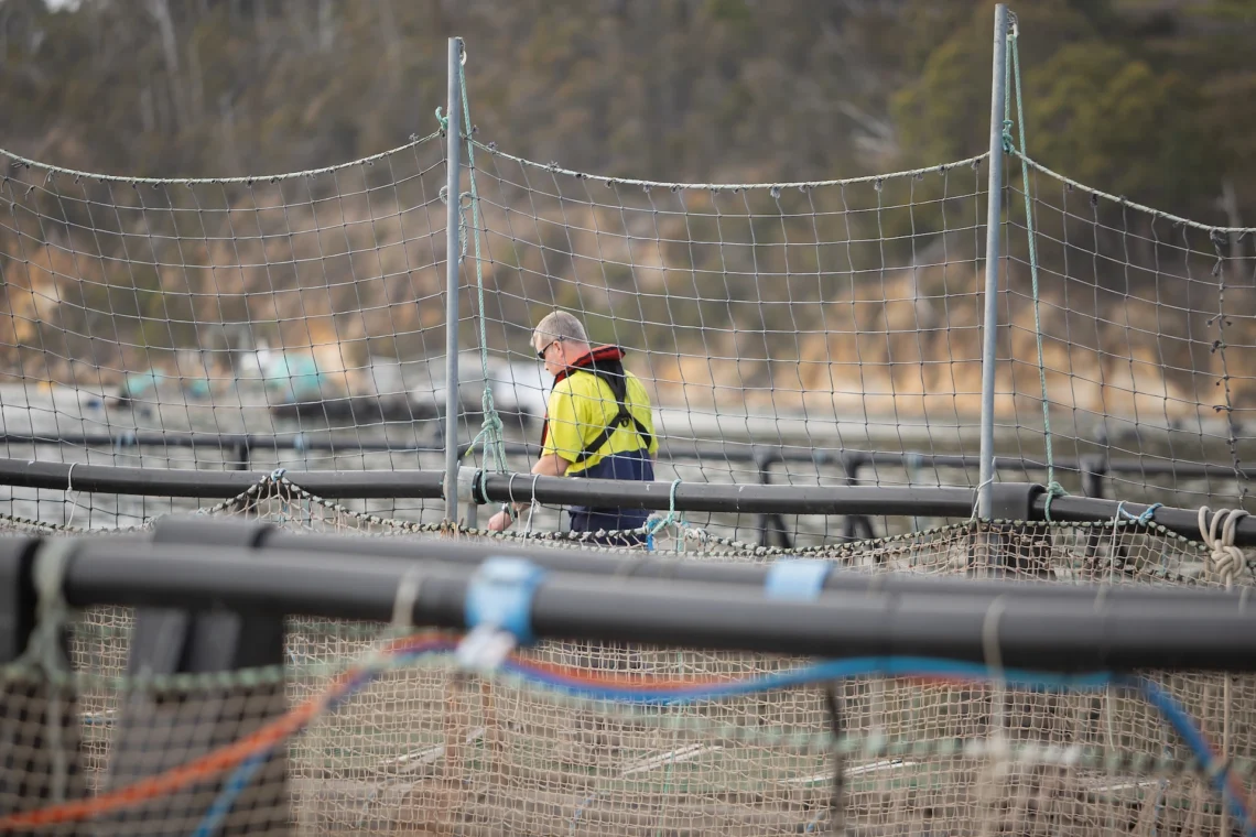 Hi-vis worker beside netted fish pens at an aquaculture farm